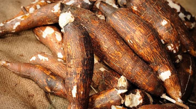 À Moanda, l’AGASA renforce la surveillance sanitaire des entrepôts de manioc roui